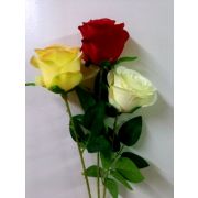 Роза одиночная 55 см цвета в ассорт.(САД)