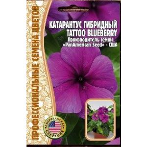 Катарантус гибридный Tatto Blueberry 5 шт (Ред.Сем.)