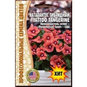 Катарантус гибридный Tattoo Tangerine 5 шт (Ред.Сем.)