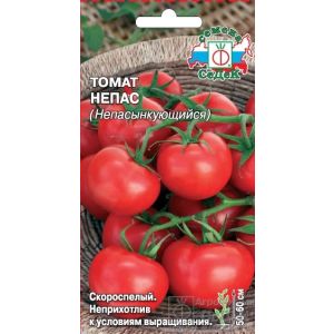 томат Непасынкующийся 0,1гр цв.п./Седек/50см