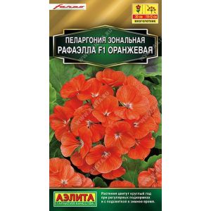 Пеларгония зональная Рафаэлла оранжевая цв.п 5 шт. /АЭЛИТА/