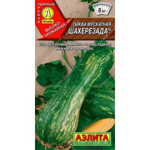 Тыква Шахерезада мускатная цв.п. 1 гр (АЭЛИТА)