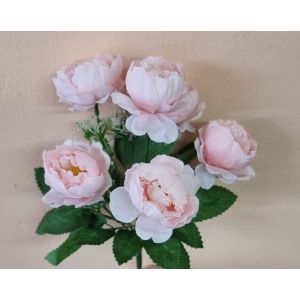 Роза флорибунда 6 голов 30 см (САД)