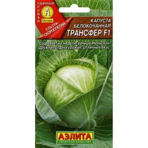 Капуста Трансфер б/к метал 20 шт (АЭЛИТА)
