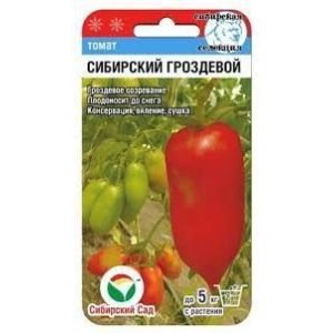 Томат Сибирский гроздевой 20 шт (Сиб сад)