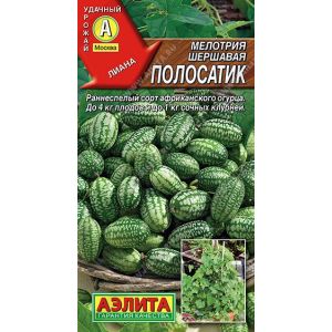 Мелотрия Полосатик цв.п. 10 шт (АЭЛИТА)