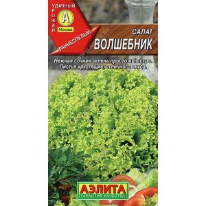 Салат Волшебник цв.п. (АЭЛИТА)