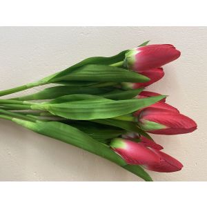 Тюльпан одиночный 40 смв ассортим