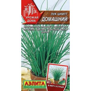Лук шнит Домашний цв.п. 0,3 гр (АЭЛИТА)