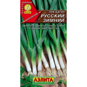 Лук Русский Зимний батун цв.п. 0,5 гр (АЭЛИТА)