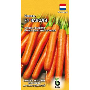 Морковь Наполи 0,3 г (Гавриш) Р.