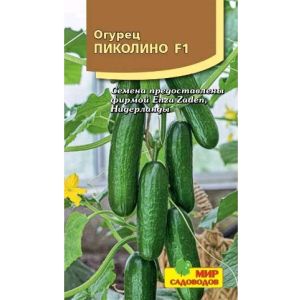 Огурец Пиколино F1 5 шт (Мир садоводов)