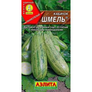 Кабачок Шмель цв.п. 1 гр (АЭЛИТА)