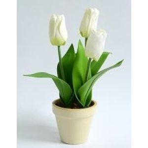 Тюльпаны в кашпо кремовые (PFH11131-4 BI389) 24шт/кор