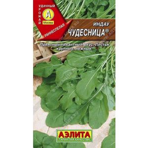 Салат рукола-индау Чудесница цв.п. 0,3 гр (АЭЛИТА)