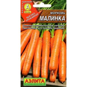 Морковь Малинка цв.п 2 гр /АЭЛИТА/