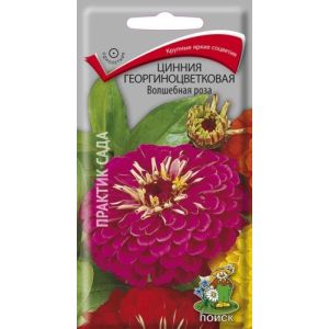 Цинния георгиноцветковая Волшебная роза (ЦВ)(