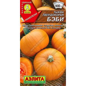 Тыква Бэби твердокорая цв.п. 1 гр (АЭЛИТА)
