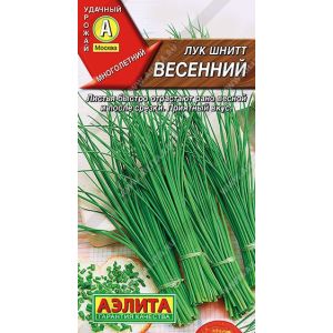 Лук шнит Весенний цв.п. 0,5 гр (АЭЛИТА)