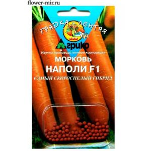 Морковь Наполи F1 100 шт Грядка лентяя (ГЛ) (Агрико)