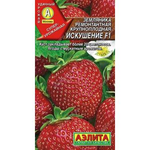 Земляника Искушение ремонтантная цв.п. 10 шт (АЭЛИТА)