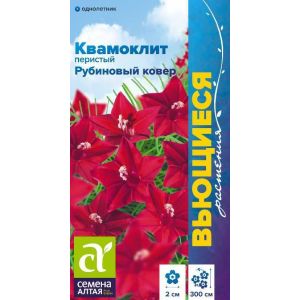Квамоклит перистый Рубиновый ковер Цв.п 0,2 гр (Сем Алт )