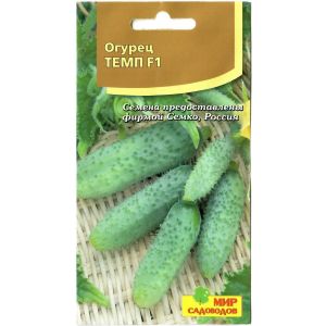 Огурец Темп: описание и характеристики сорта, правила посадки и выращивания, отз