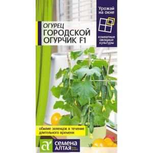 Огурец Городской огурчик цв.п.5шт(Сем Алт)