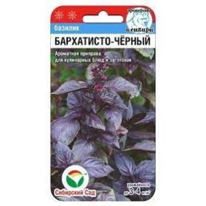 Базилик Бархатисто-черный 0,5гр (Сиб сад)