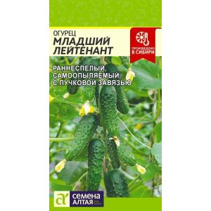 Огурец Младший Лейтенант цв.п.5 шт (Сем Алт)