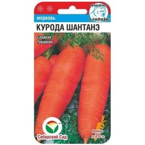 Морковь Курода Шантанэ 1г (Сиб сад)