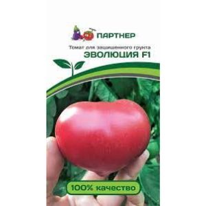 Томат Эволюция 10 шт (Партнер)