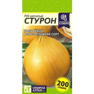 Лук Стурон репчатый цв.п.0,5 гр (Сем Алт)