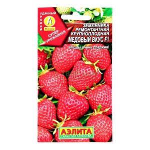 Земляника Медовый Вкус ремонтантная цв.п. 7 шт (АЭЛИТА)