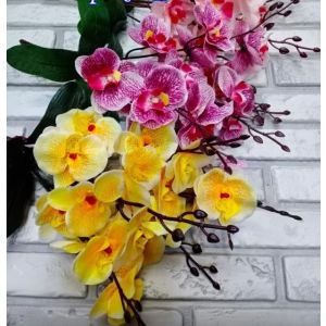 Орхидея 20 цветков 45 см  в ассорт,(САД)