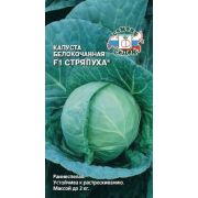 Капуста Стряпуха БК цв.п.(Седек)Р.