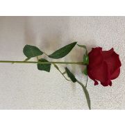 Роза одиночная 50 см КРАСНАЯ (САД)