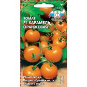 томат Карамель Оранжевая  F1 0,05 гр цв.п.(Седек/60-70см