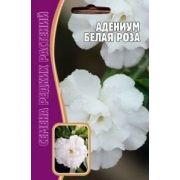 Адениум Белая Роза 3 шт (Ред.Сем.)