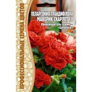 Пеларгония MAVERICK SCARLET F1 (Маверик Скарлет) крупноцветковая 3 шт (Ред.Сем.)