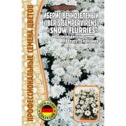 Иберис SNOW FLURRIES вечнозеленый 5 шт (Ред.Сем.)