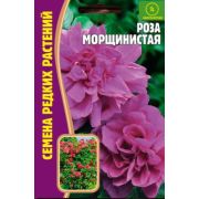 Роза Морщинистая10 шт (Ред.Сем.)
