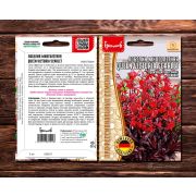 Лобелия QUEEN VICTORIA SCARLET многолетняя 5 шт (Ред.Сем.)