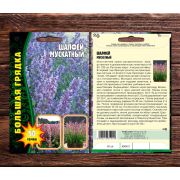 Шалфей Мускатный 50 шт (Ред.Сем.)