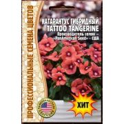 Катарантус гибридный Tattoo Tangerine 5 шт (Ред.Сем.)