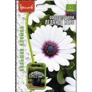 Остеоспермум Ледяное небо 0,1 гр (Ред.Сем)