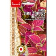 Колеус Блюме «Giant Exhibition» rustic red 3шт(Ред.Сем.)