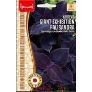 Колеус Блюме «Giant Exhibition» palisandra 3шт(Ред.Сем.)
