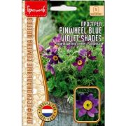 Прострел Pinwheel Blue Violet Shades 3шт. (Ред.Сем.)