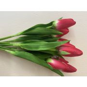 Тюльпан одиночный 40 смв ассортим